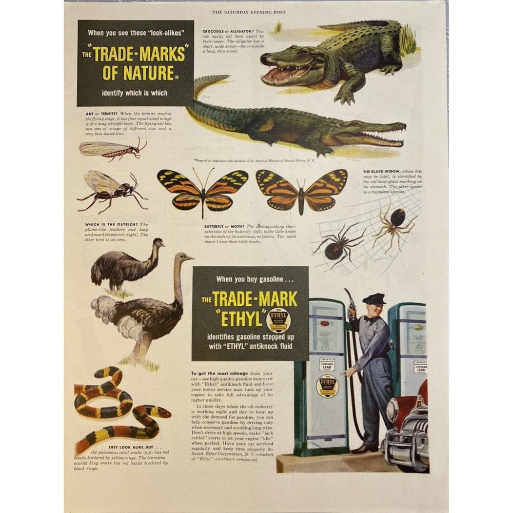 ETHYL The Trade-Mark when you buy Gas" Animals & Insects Vintage Print Ad 1949